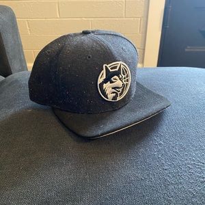 Minnesota Timberwolves Hat